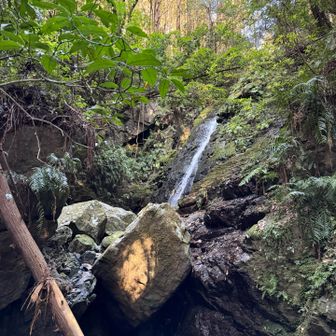 ひとつ👀の滝！