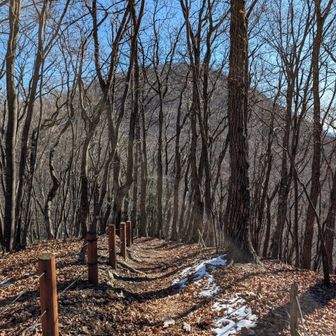 惣岳山から御前山を見る図。
こう見ると御前＝ご飯を盛ったように見えるといえば見える。