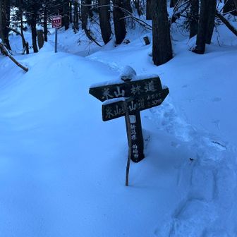先行者あり
スノーシューのトレース🙏