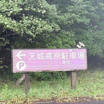 始発電車で伊勢原駅へ
あろけんご夫妻の車に乗せていただき、天城高原までやってきました🙇‍♀️
車の中で早くも、あろけん夫婦漫才を堪能🤣