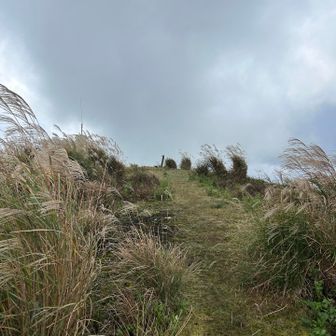 山頂が見えましたね。