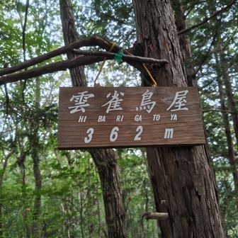 雲雀鳥屋