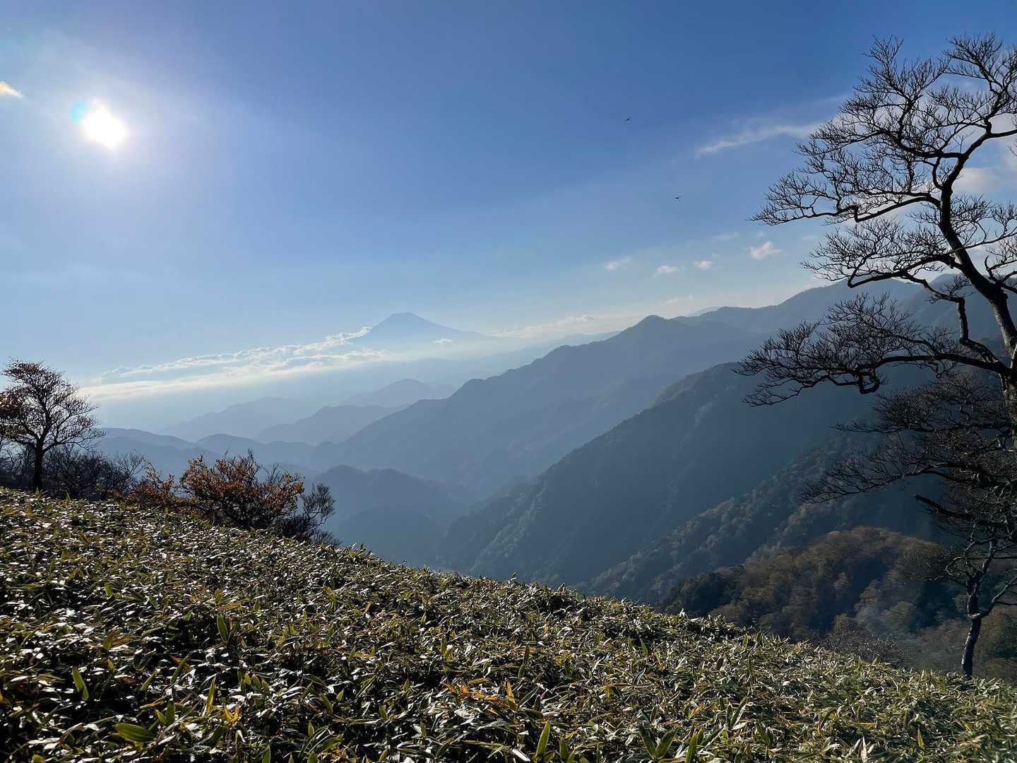太陽で笹がキラキラ✨
ずーーーと富士山が付いて来る😆