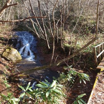 裏コースは沢の音を聞きながら歩く。