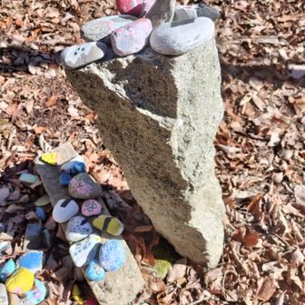 神社から少し登ると山頂（プレートなし😥）
636メートル