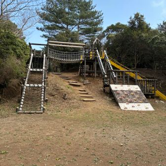 アスレチック⁉️