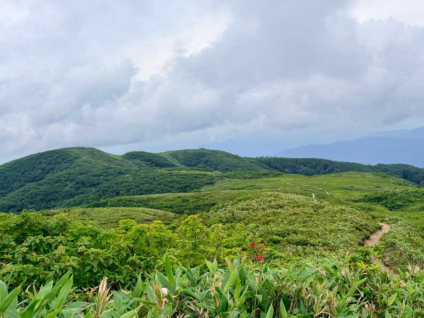 小白木峰-白木峰-浮島の池 往復コースの写真