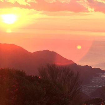 Guitar Ｗorks  1310