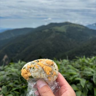 ふくちょこさん手作りのおにぎり🍙