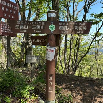 連行山でドリップコーヒーを楽しむ