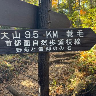 大山にも繋がってるんだよね。
