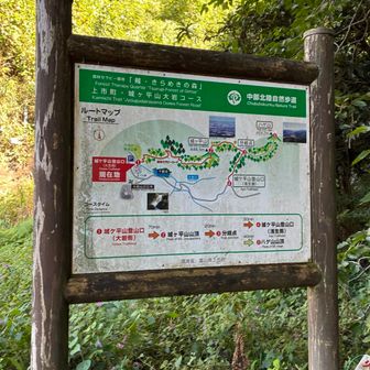 森林セラピーロード気になる