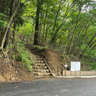 ここから登山道