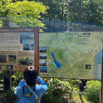 金時山の概要とルートマップをチェック。今日は公時神社登山口と山頂の往復ルートです。