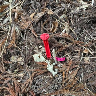 このプラスチック釘、なーんだ？！