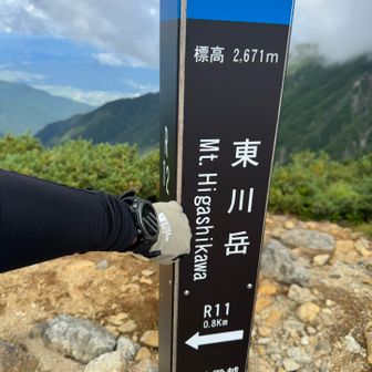 遠かった