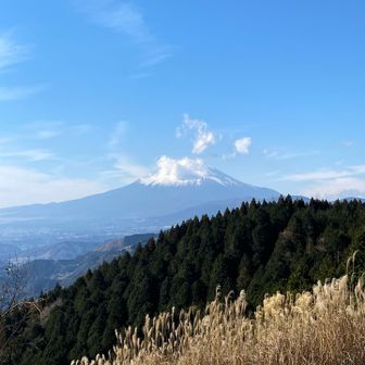 山頂は吹雪ですね。