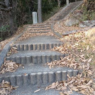 🅿️ロード向かいの岩巡り未踏ルートから🐾