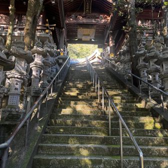 初めて気がつきましたが、欄間？みたいなところに立派な龍が掘られてました。