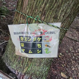 熊より地味に脅してくる。カエンダケは生えてたら見てみたい。