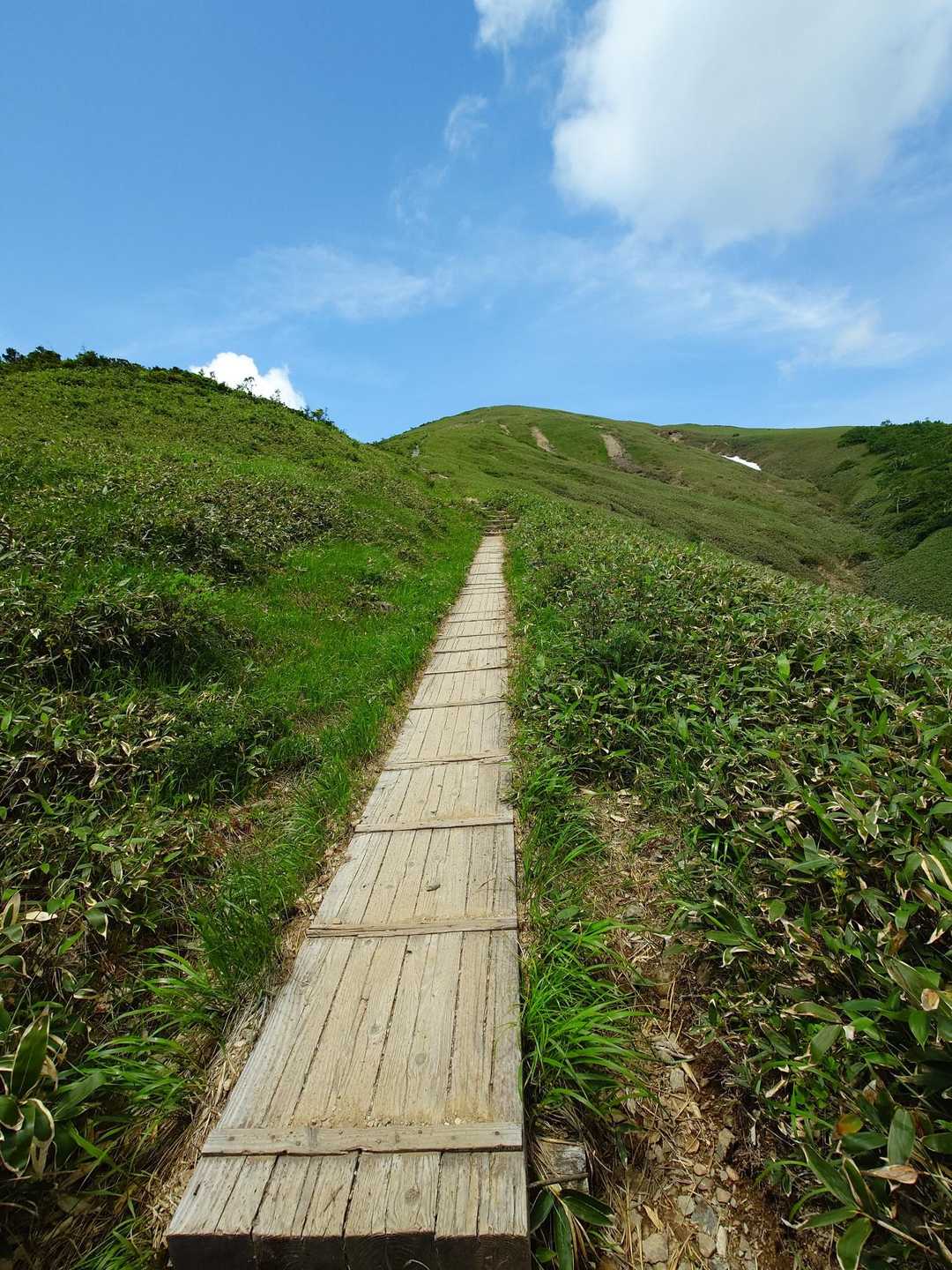 木道。高原感満載。
