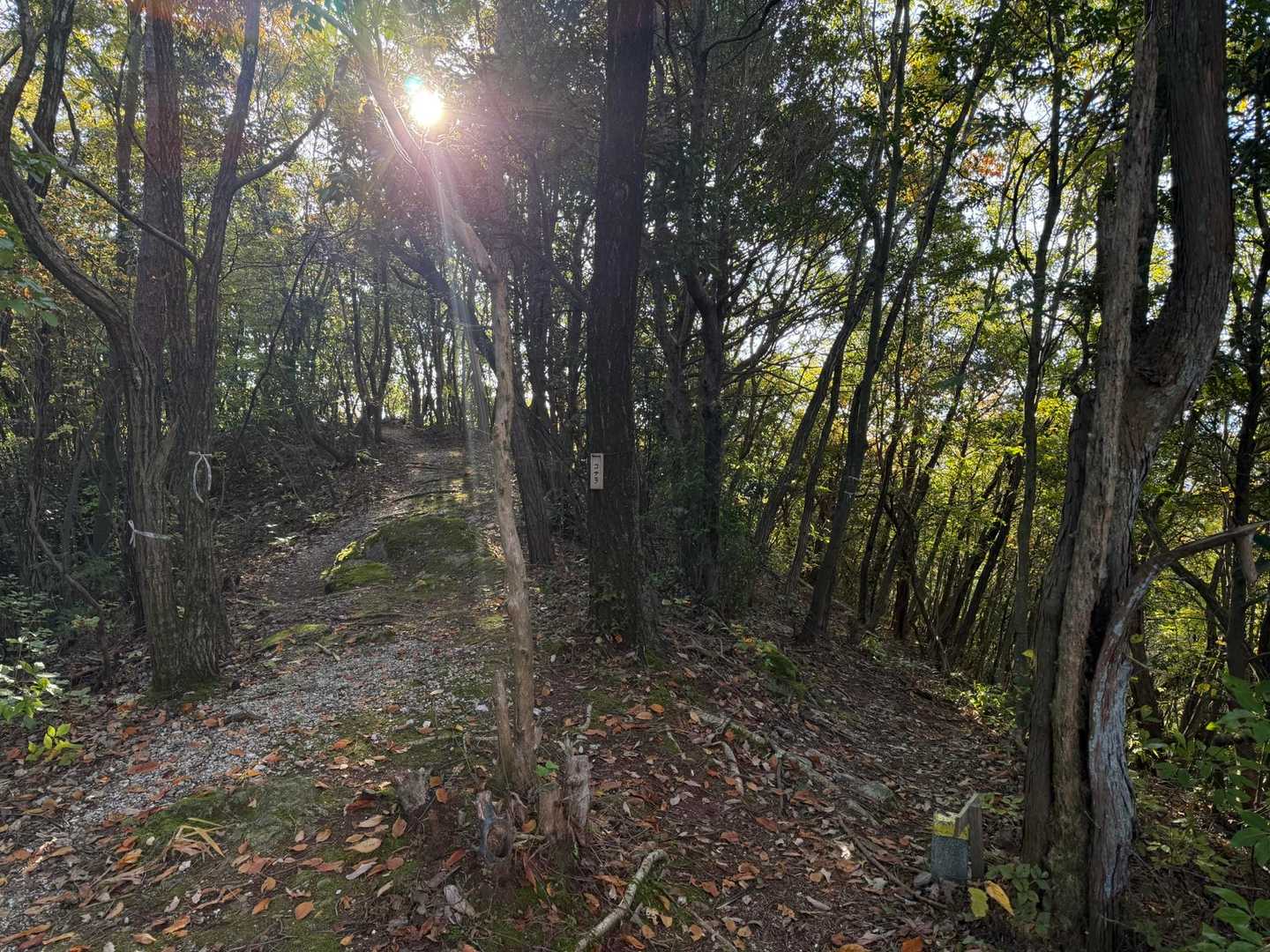 下りも小石が浮いてるところあったので気をつけて下山します。