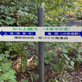 何せ出発がかなり遅かったので、登山計画で一応入れていた亀岡のみずき山？にそのまま行くのは諦めここで方向転換。西山団地へ降りる。からと越えは本能寺の道だって。あれ？寺町に移転される前の本能寺ってこの辺にあったの？いや、確か西洞院蛸薬師？らへんだよね？（歴史に疎い