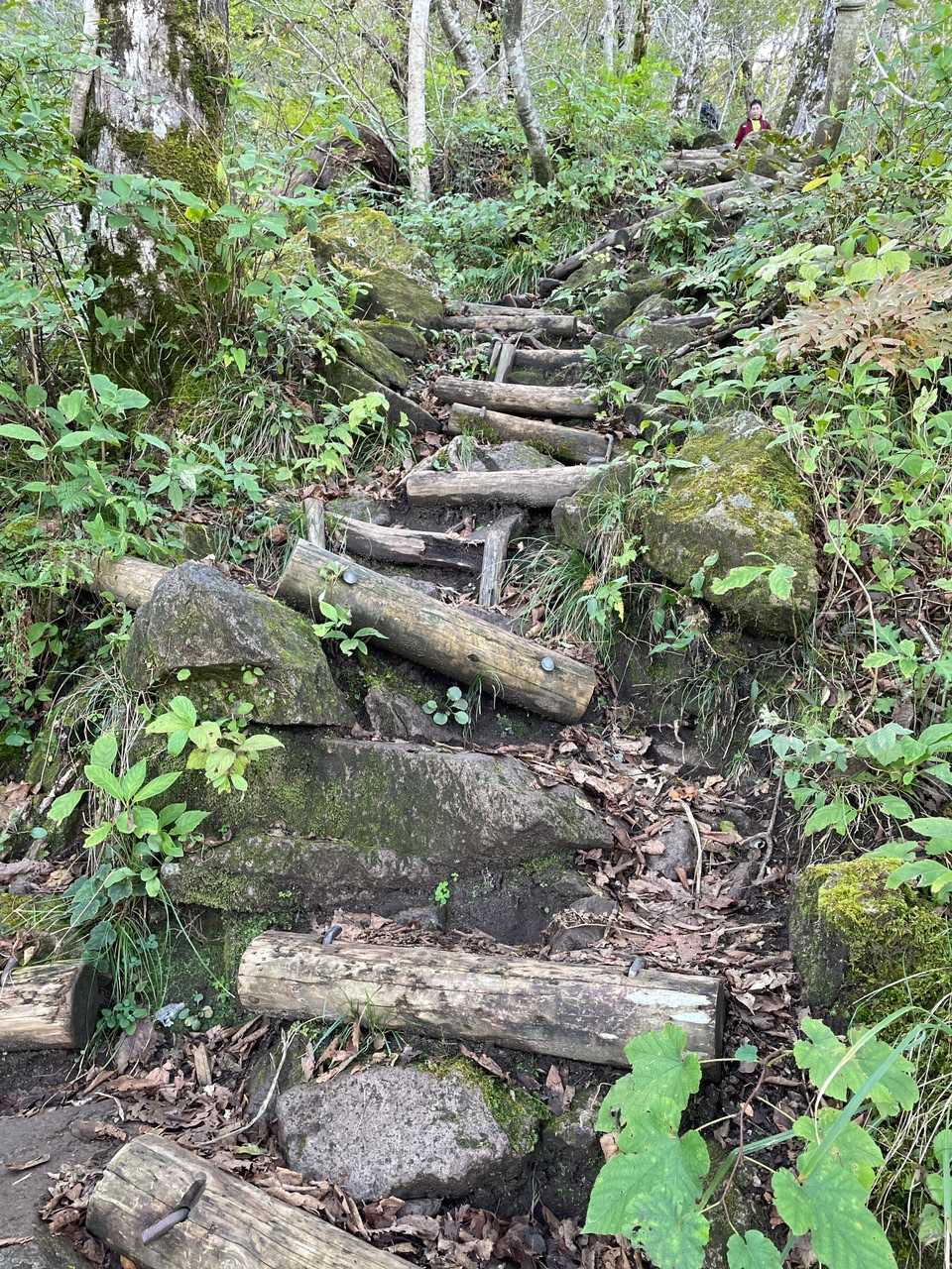 この辺から男三瓶が本気を出してくる⛰🔥