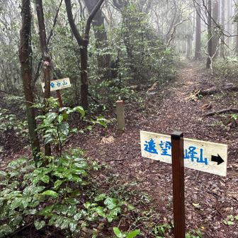 次のピークを目指します。