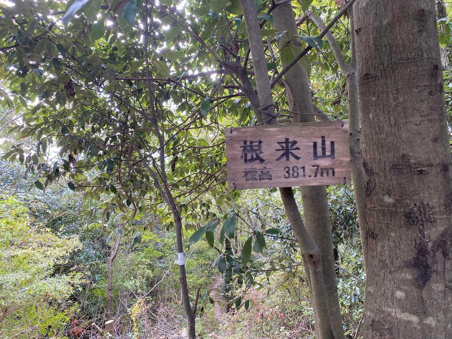 根来山げんきの森管理棟-根来両景峰 周回コースの写真