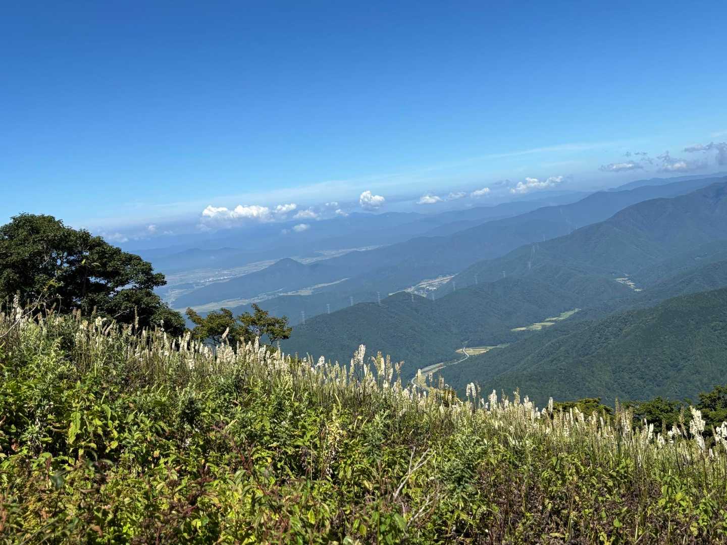 伊吹山 周回コース | 9合目から始まる、花と琵琶湖の日本百名山の写真