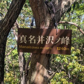 真名井沢ノ峰
