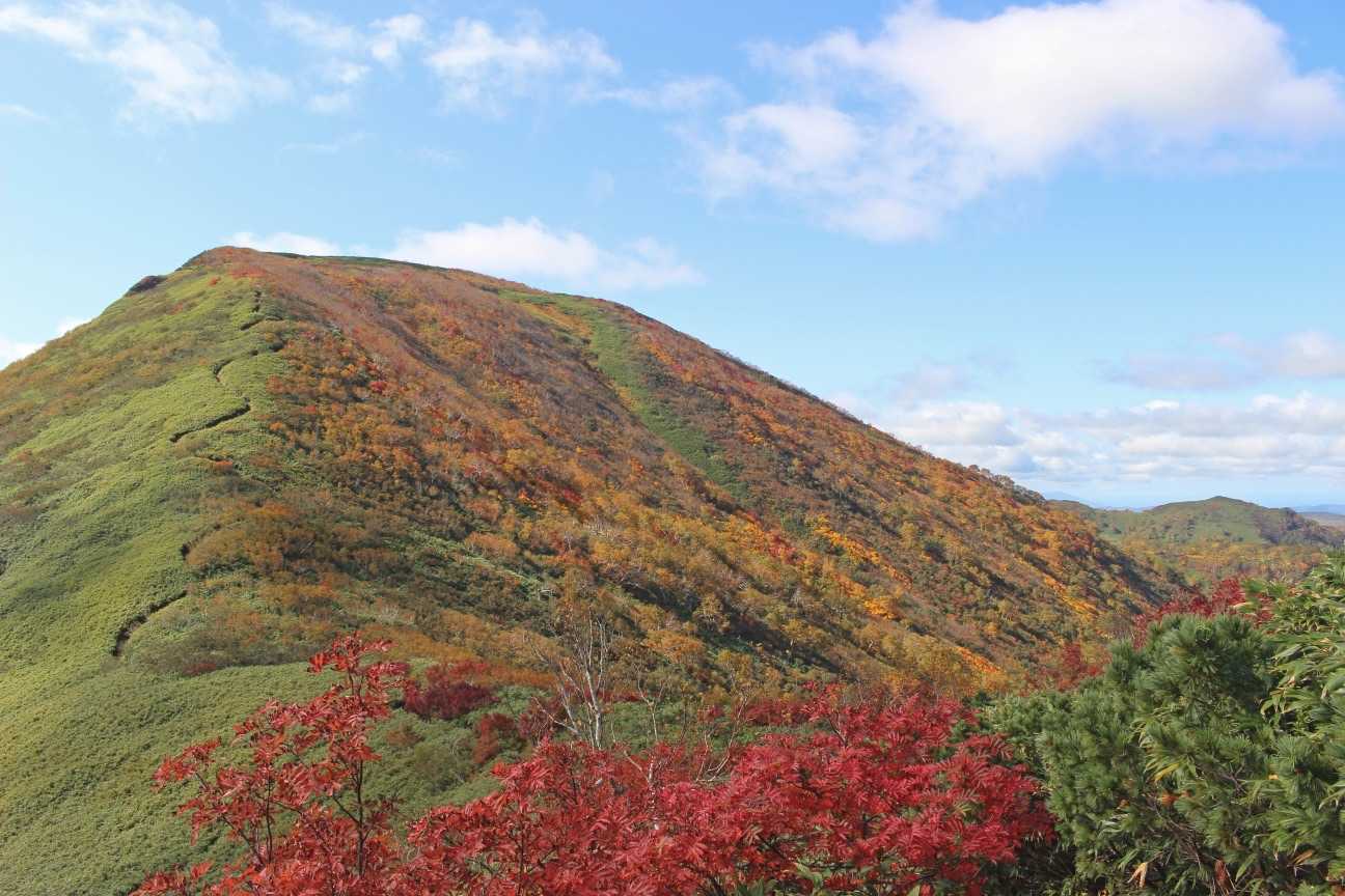 紅葉の余市岳