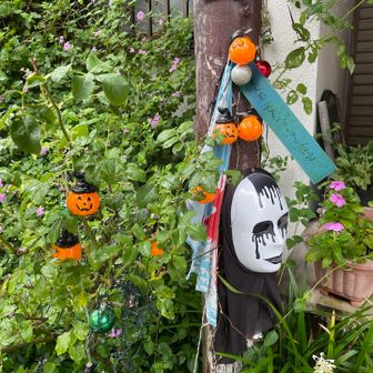 麓のお店はハロウィン仕様🎃