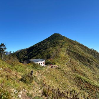 こんな場所に小屋