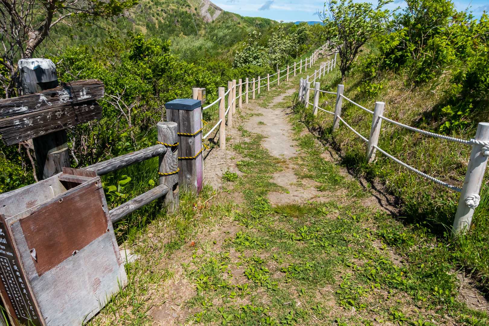 観光用の散策路っぽくなってきました