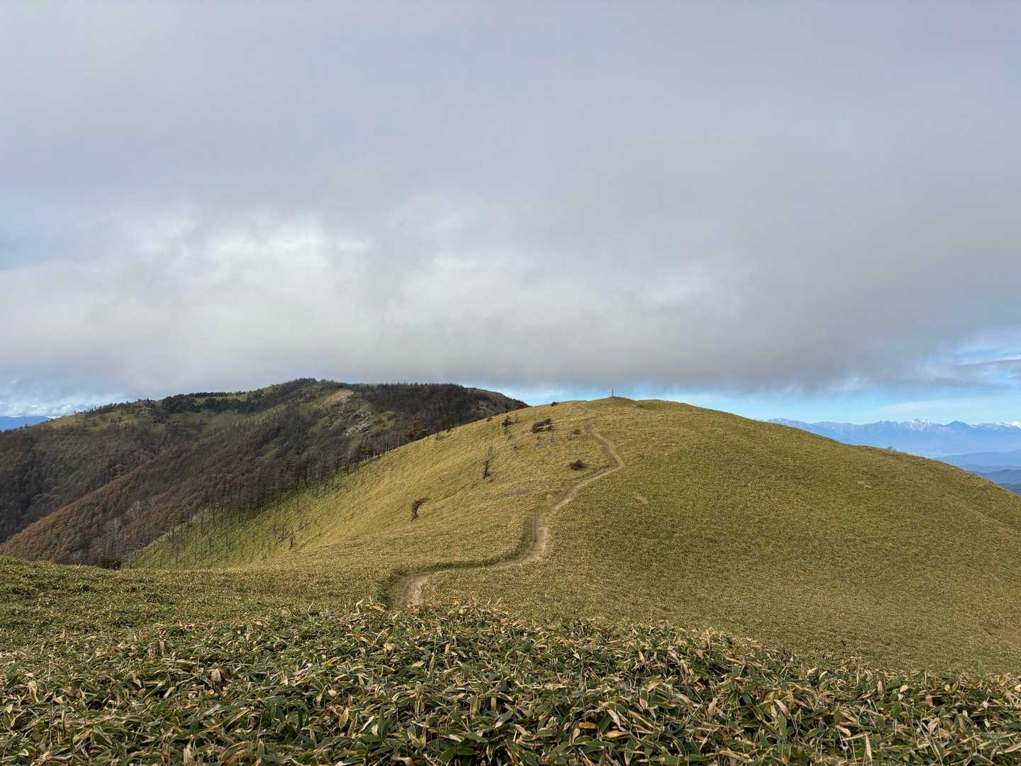 鉢伏山-前二ツ山-二ッ山 周回コースの写真