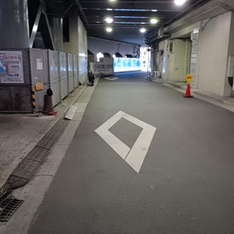 ただいまにゃ！