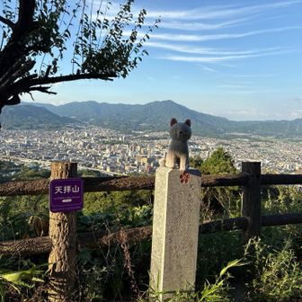 逆光なのか、こにゃのお顔が暗めです😹こにゃ