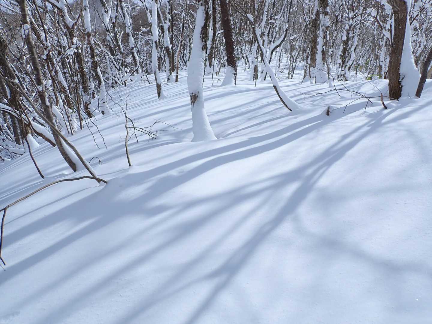 胡桃ヶ岳登山口-胡桃ヶ岳-胡桃ヶ岳登山口 周回コースの写真