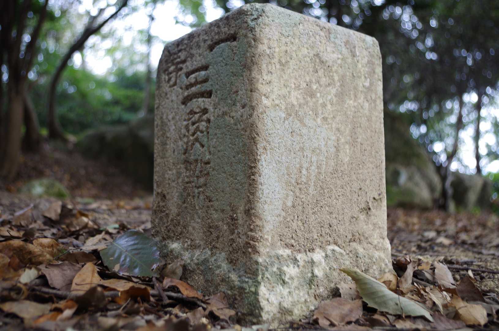 一等三角点｢大山｣