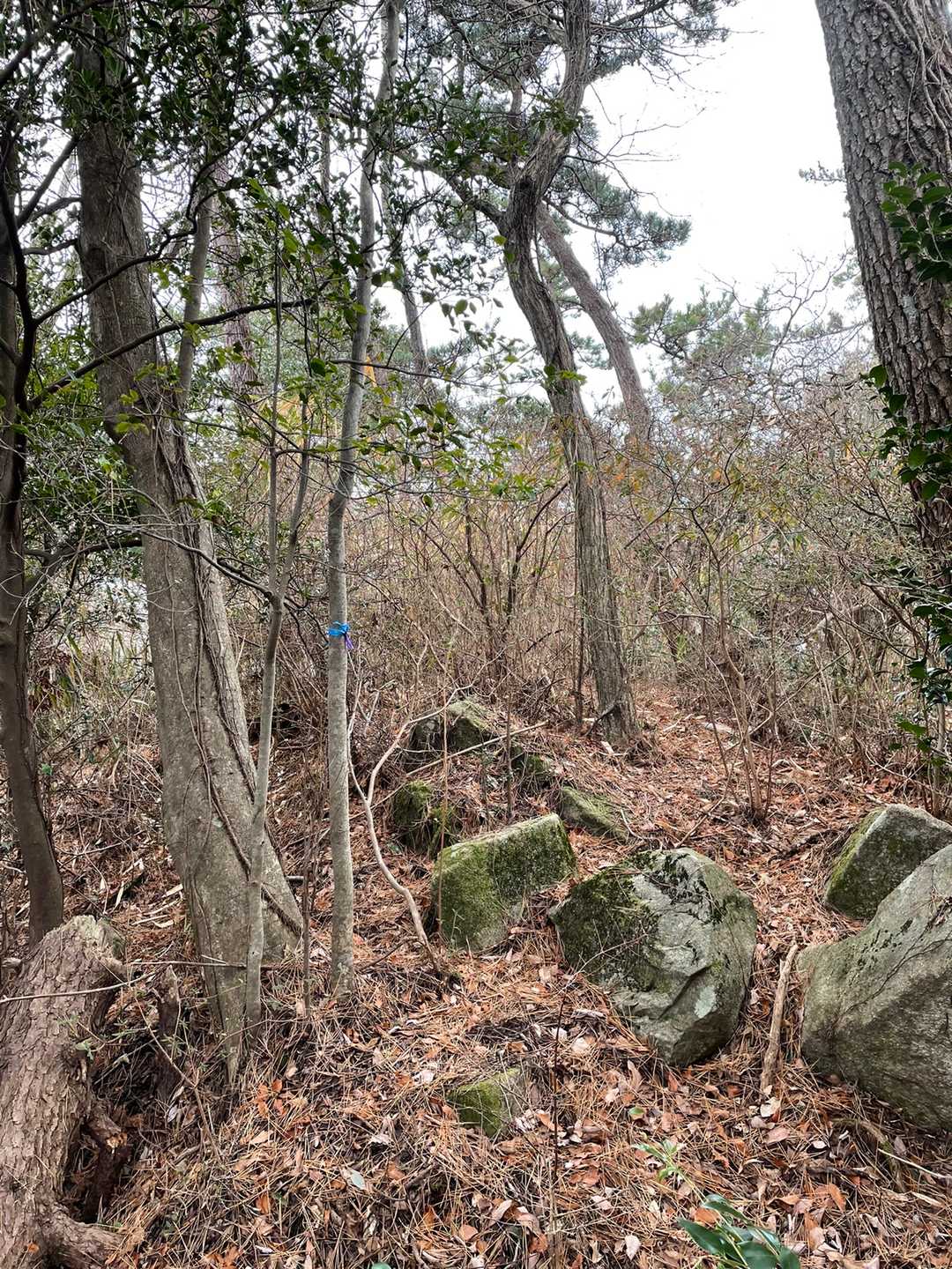 西谷山山頂に到着。