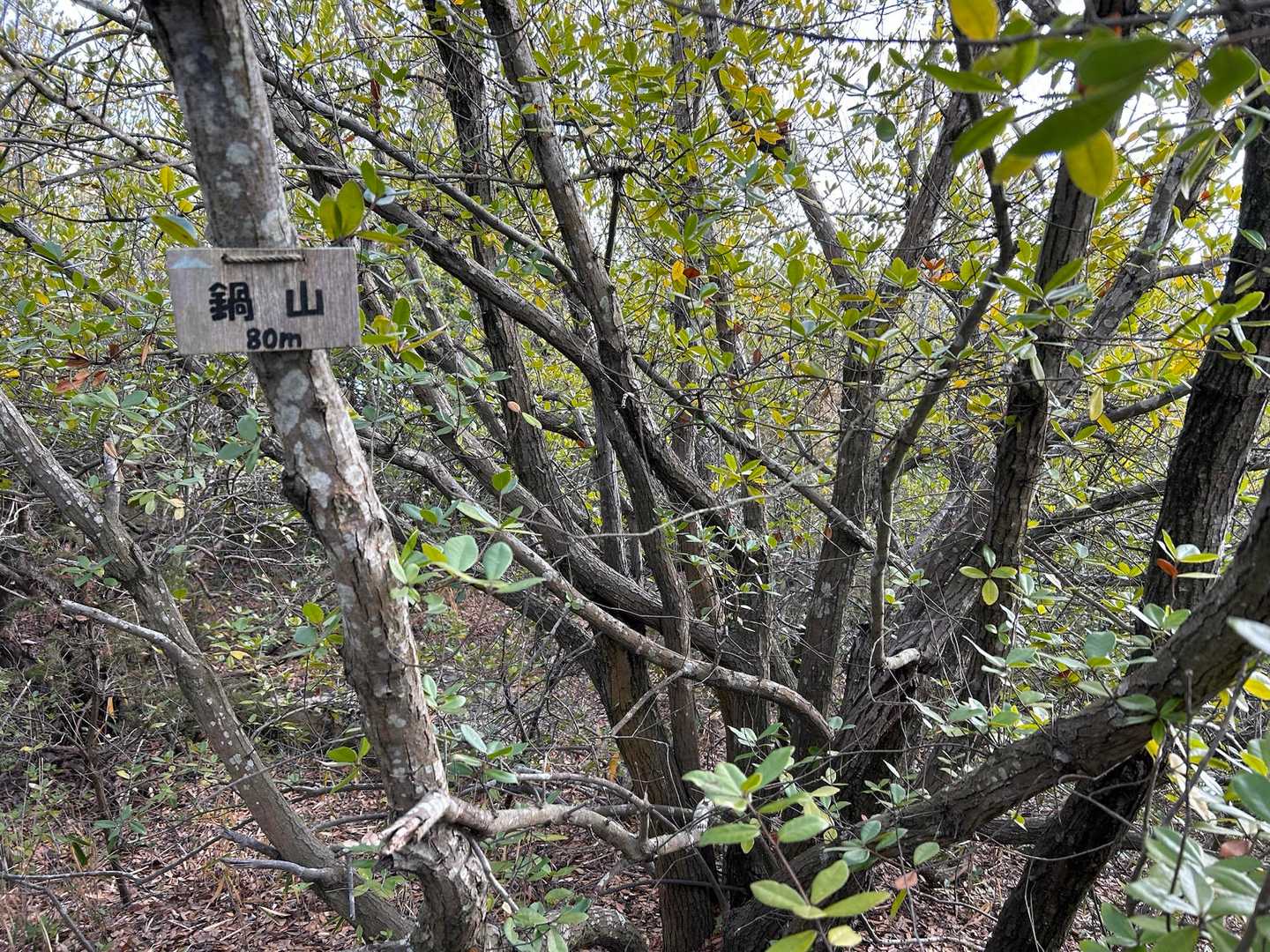 12座目　鍋山　80メートル