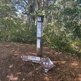 2度ほどピークかと期待を外しつつ山頂に到着！
展望があるらしい大明神岳へと進む