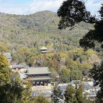 双ヶ丘から　　
龍安寺？