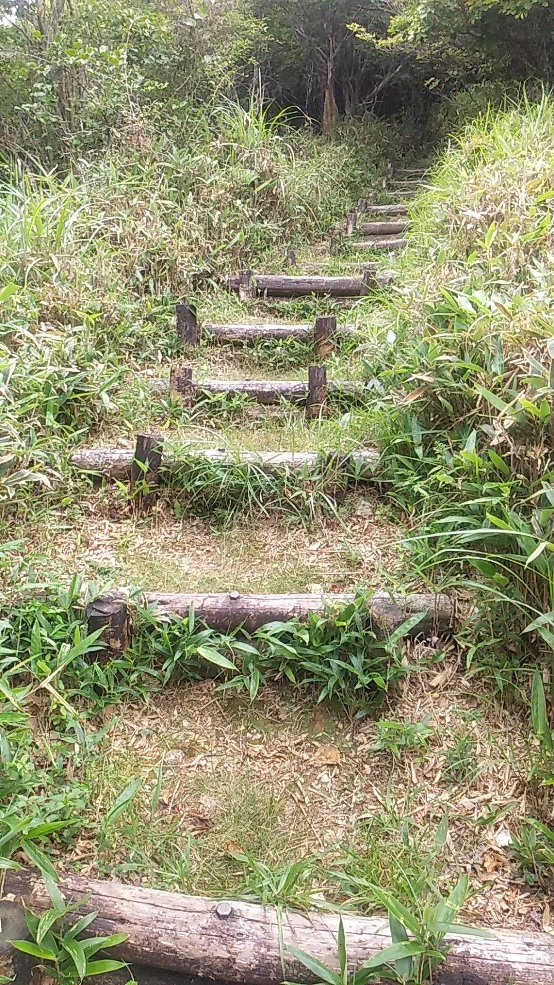 この階段が長い、きつい