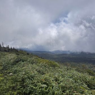 岩手山は見えず