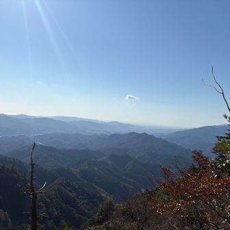 はあ〜☀️
いい眺めよね👀