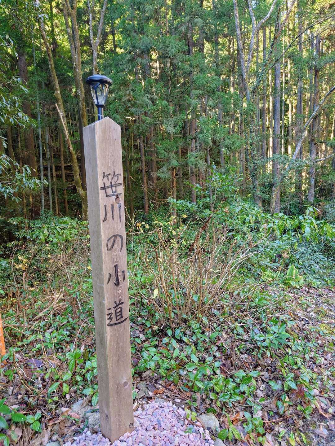 しばらく林道歩き🌲🚶