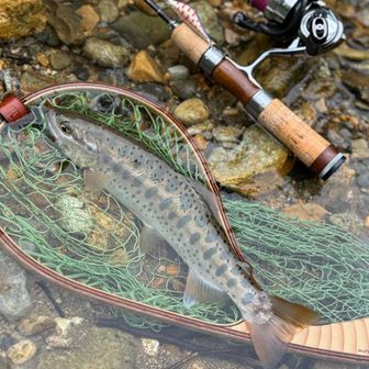 んだんだそうすけ